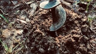 Drilling Holes In Clay Soil: Shocking 2 Year Results