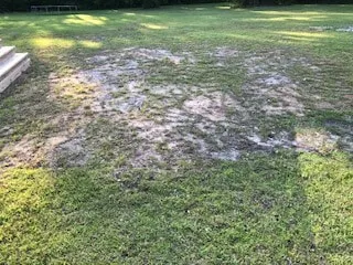 Slow grass growth in area where no holes were drilled.