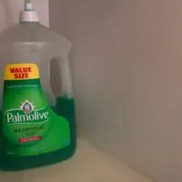 Does dish soap really kill mosquitoes?