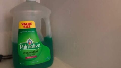 Does Dish Soap Really Kill Mosquitoes? Surprising Results!