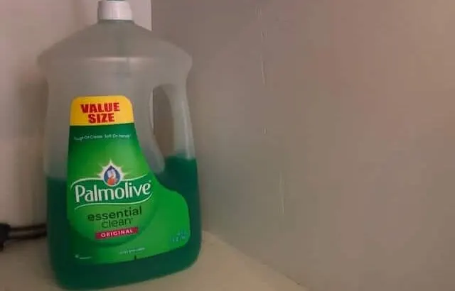 Does Dish Soap Really Kill Mosquitoes? Surprising Results!