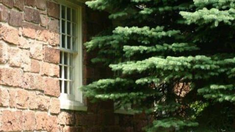 How to Insulate Exterior Walls of an Old Brick House