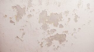 Causes of moisture on walls