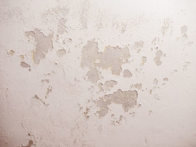 What Causes Moisture on Walls? (And What To Do About It)