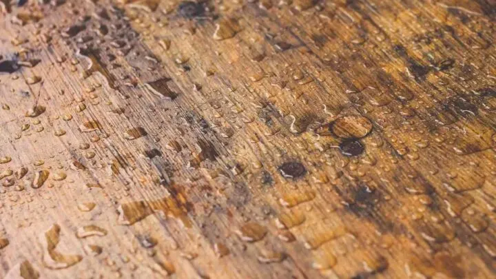 Floors Feel Damp? Here’s 4 Likely Reasons