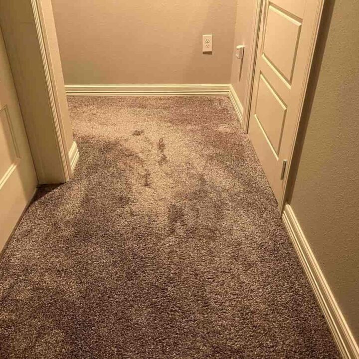 How To Fix a Squeaky Subfloor Under Carpet (6 Steps)
